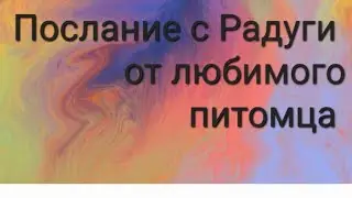 🦋🌈Весточка с Радуги от любимого питомца