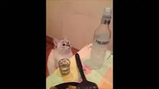 Nas ne dogonyat [Hardstyle]