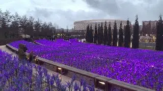 |ПАРК ГАЛИЦКОГО||ВЛОГ С КРАСНОДАРА ЧАСТЬ 2|