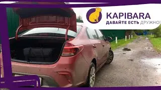Капибара. Работа курьером в небольшом городе