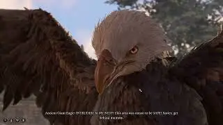 a bird gave me a quest in baldur's gate 3