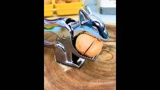 akhrot todne ki gadget
