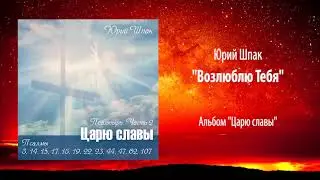 Юрий Шпак, 