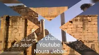 Volubilis la sité Romaine, L'art de la séramique et de la pierre,فن الرخام،الحجر،فوليبيليس او وليلي