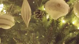 Christmas Tree - B-roll | DJI Ronin SC | sample footage
