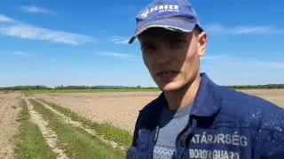 Наш посев кукурудза  2021