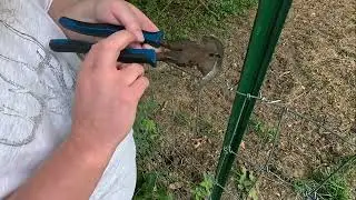 Attaching Fence to Metal T Posts Two Methods