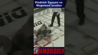 TKO Punches GnP ProFC 12 - Vladimir Egoyan vs Magomed Izrailov #mma #ProFC #TKO
