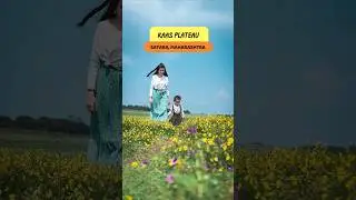 KAS PATHAR (Valley of flower's) Satara Maharashtra KAS PLATEAU #travel #shorts #maharashtra
