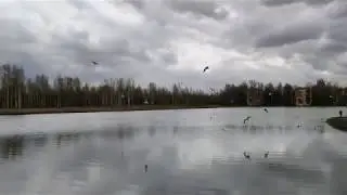 С праздником друзья!