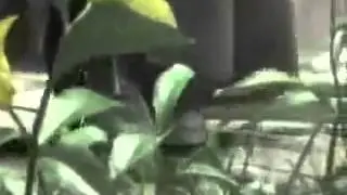 Gorillaz, SquareEnix, Talkaze - Lemonade Project