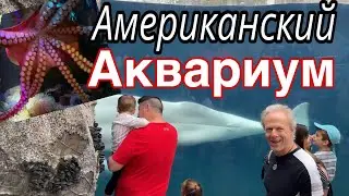 ЧЕГО ТОЛЬКО НЕ УВИДЕЛИ 😍