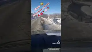 8 марта