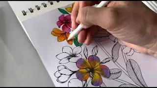 Good Quality? Must Watch Before Buying This Sketching Kit 