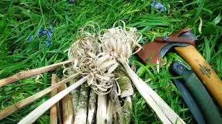 A Day In The Woods Bushcraft Style