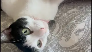 Chaemie in her relaxing mood