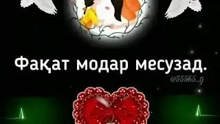 Модар