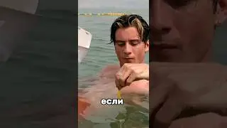 КартошкаФри в мертвое море??? 