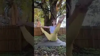 Yoga Exercise Shorts