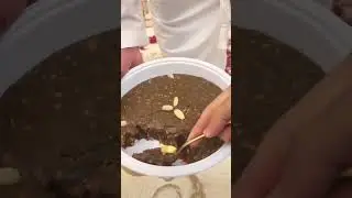 sha la la