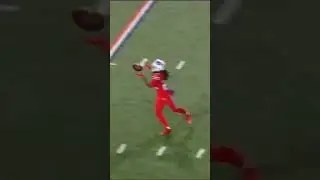 Buffalo Bills vs Miami Dolphins 2022 Week 15