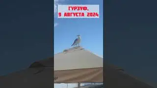 Гурзуф, 9 августа 2024. Крым сегодня ❤️ #крымотдых #гурзуф #крым