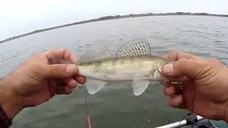 Видео отчёт !!! Рыбалка 🎣 на Судака и просто отличный отдых!!!