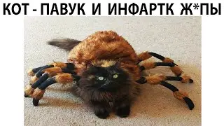 Мемы 2022 ( Тут Про100 