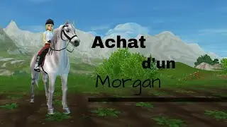 Sso- Achat d'un Morgan