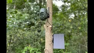LIVESTREAM Cellular Trail Camera UNDER $100 - iZeeker iG500 - Pros & Cons