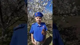 Стих о Великой Отечественной войне