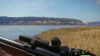 The Hunter Call of the Wild - первый взгляд - итоги. Часть 3.