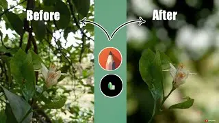 Snapseed blur photo editing || best photo editing video new ||