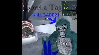 Gorilla Tag VR (Must Watch)