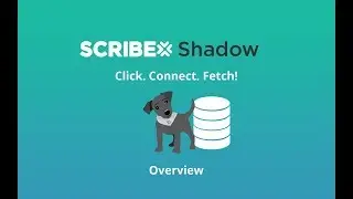 Scribe Shadow Overview