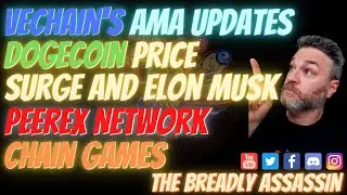 Dogecoin - Vechain - Elon Musk - Chain Games - Peerex Network