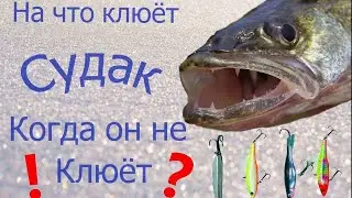Зимняя рыбалка - судак и приманки на которые он ловится.