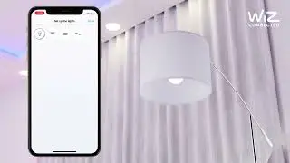 Wiz Pairing and Alexa Integration