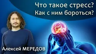 Природа стресса и как с ним бороться. Из семинара   