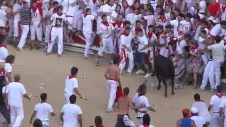 Bull Vs People Compilation