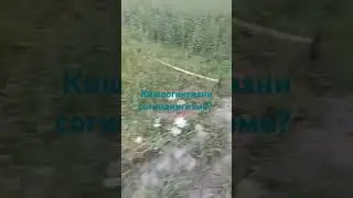 Qishlog'ingizni sog'inasizmi, sog'indingizmi?