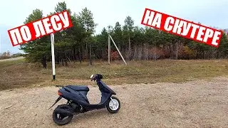 ПОКАТУШКИ НА СКУТЕРЕ ПО ЛЕСУ/ЗАБЛУДИЛСЯ В ЛЕСУ