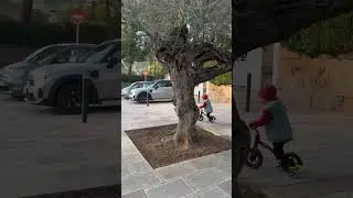 Саша та велобіг частина 2