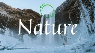 In nature, nothing is perfect and everything is perfect.
