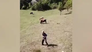 İlk kez drone gören adam sosyal medyayı salladı!