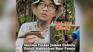 Alat Panen Padi Darat (Etem)