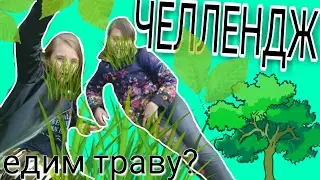 Челлендж | Едим траву | Маникен Челлендж.