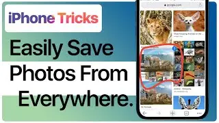 iPhone Tricks: Easily Save Photos from anywhere on iPhone