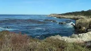 Point Lobos 09062015