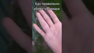 как правильно заваривать комара
